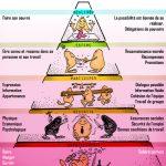 Maslow : la gestion du personnel